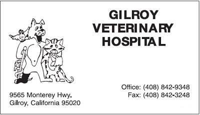 Gilroy Veterinary Hospital