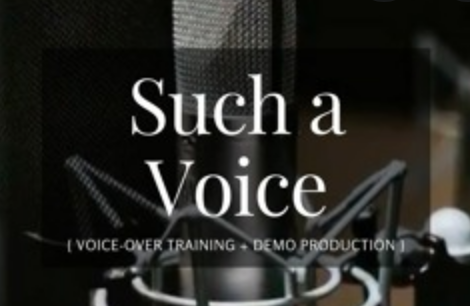 Voice Overs.....Now is Your Time!